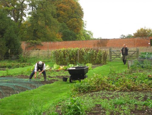 Gardeners_at_work_-_geograph.org.uk_-_3716609